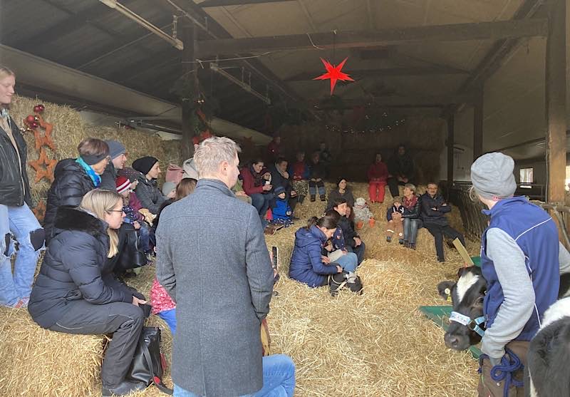 Gemütlich im Stall: Weihnachten bei den Tieren (Foto: Hofgut Neumühle)