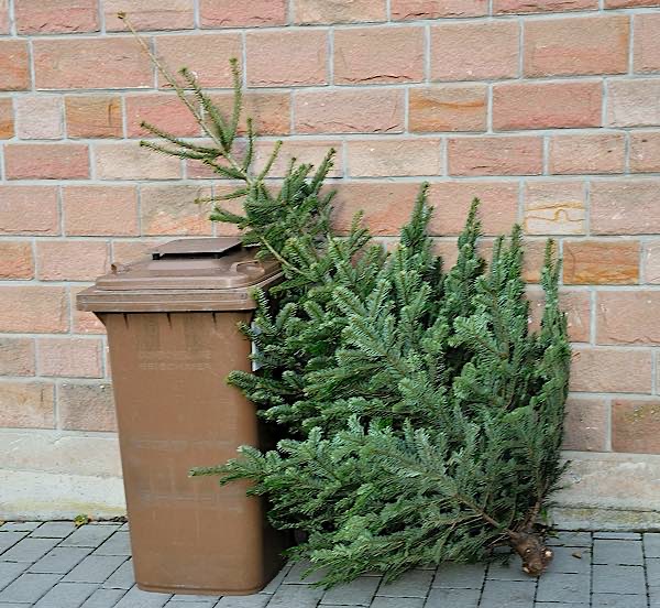 Weihnachtsbaumabholung (Foto: Stadtbildpflege Kaiserslautern)