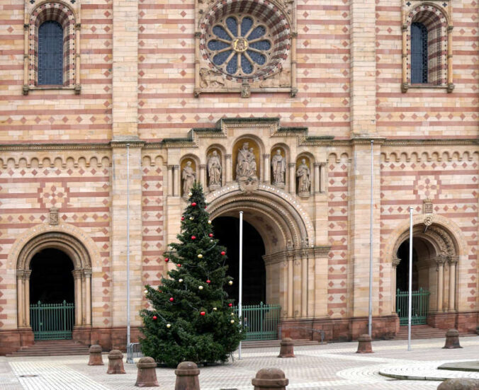 Weihnachtsbaum vor dem Speyerer Dom (Foto: Holger Knecht)