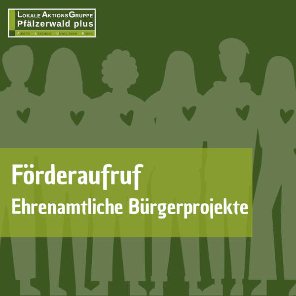 Förderaufruf Ehrenamtliche Bürgerprojekte 2025