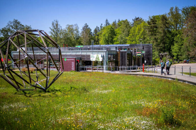 Das Haus der Nachhaltigkeit in Johanniskreuz (Foto: Landesforsten.RLP.de / J.Fieber)