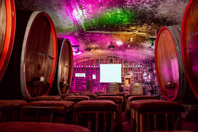 Vino Lumino beim Weingut Fitz-Ritter in Bad Dürkheim (Foto: CC-BY Pfalz Touristik, Lena Geib)