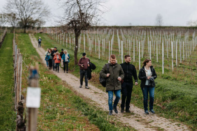 WeinWandel (Foto: Lena Geib Photographie)