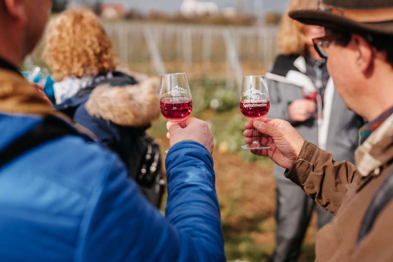 WeinWandel (Foto: Lena Geib Photographie)