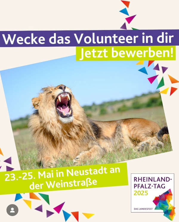 VOLUNTEERS für den Rheinland-Pfalz-Tag 2025 gesucht