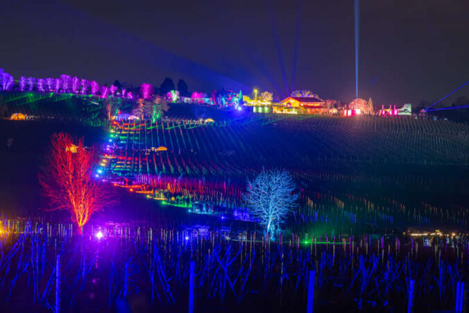 Weinbergnacht (Foto: Heimatlichter GmbH, CC-BY Lizenz)