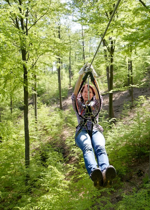 Foto: Ziplinepark Elmstein