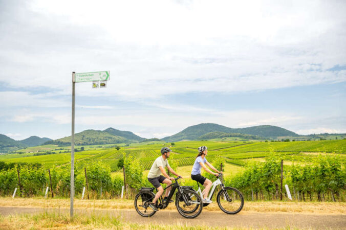 Fahrradfahrer (Quelle: Pfalz Touristik, Dominik Ketz)